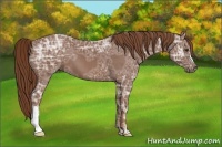Horse Color:Chestnut Ice 