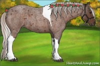 Horse Color:Silver Brown Roan Tobiano 