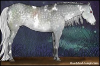 Horse Color:White Spotted Silver Grullo Chinchilla 