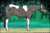 Horse Color:Grullo Sabino Tobiano 
