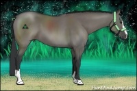 Horse Color:Grullo Sabino