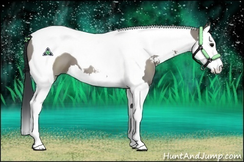 Horse Color:Grullo Sabino Splash Tobiano 