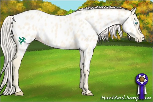 Horse Color:Cremello Near Leopard