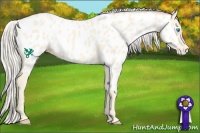 Horse Color:Cremello Near Leopard