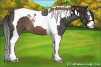 Horse Color:Buckskin Roan Splash Tobiano