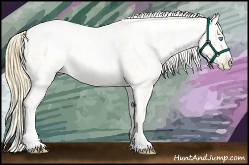 Horse Color:Buckskin Roan Pearl and Buckskin Roan Pearl Appaloosa