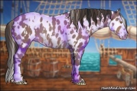 Horse Color:Sable Champagne Leopard  and Sable Champagne Splash Leopard 
