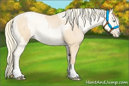 Horse Color:Buckskin Roan Pearl  and Amber Cream Champagne Roan Pearl 