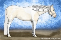 Horse Color:Silver Classic Champagne Ice Roan Pearl Dun Tobiano 