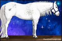 Horse Color:White Spotted Silver Brown Appaloosa 