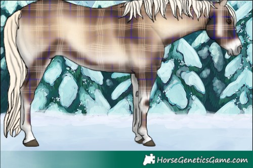Horse Color:Plaid  Liver Red Onyx Mushroom 