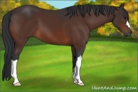 Horse Color:Brown 