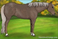 Horse Color:Silver Black 