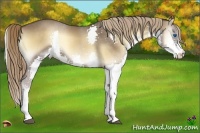 Horse Color:Liver Red Onyx Splash 
