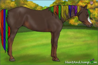 Horse Color:Gray Painted Chestnut 
