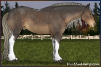 Horse Color:Liver Chestnut Mushroom Tobiano Varnish 