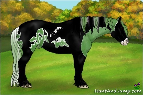 Horse Color:Watercolor Black Splash Tobiano Appaloosa 