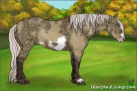 Horse Color:Silver Bay Ice Dun Frame Rabicano 