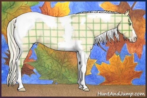 Horse Color:Plaid Silver Amber Cream Champagne Roan Dun Splash Tobiano Frame Rabicano