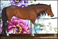 Horse Color:Buckskin Sabino Tobiano