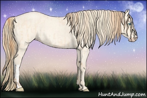 Horse Color:Buckskin Roan Pearl  and Perlino Roan 