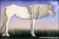 Horse Color:Buckskin Roan Pearl and Perlino Roan