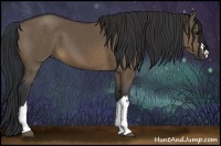 Horse Color:Brown Dun