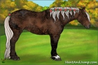 Horse Color:Silver Bay Ice 