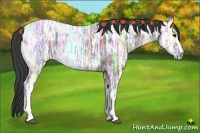 Horse Color:Smoky Grullo Ice