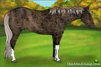 Horse Color:Silver Bay Ice Dun 