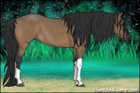 Horse Color:Brown Dun