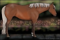 Horse Color:Silver Bay 