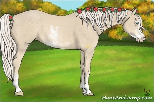 Horse Color:Cremello Sabino