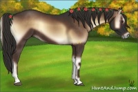 Horse Color:Liver Red Onyx