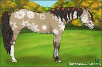 Horse Color:Liver Red Dun Ice 