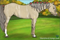 Horse Color:Chocolate Palomino Ice Dun Sabino