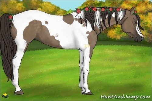 Horse Color:Liver Red Dun Tobiano 