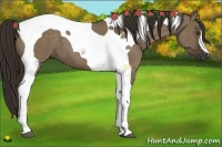 Horse Color:Liver Red Dun Tobiano 