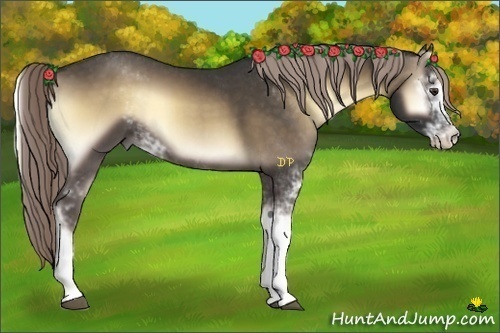 Horse Color:Chocolate Palomino Onyx Sabino 