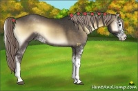 Horse Color:Chocolate Palomino Onyx Sabino