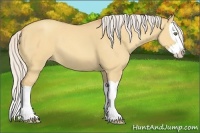 Horse Color:Silver Amber Champagne Dun Splash 