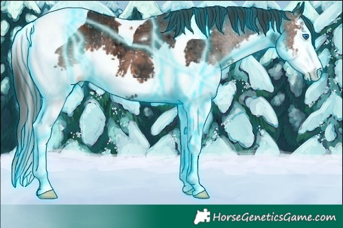 Horse Color:Thunderstruck White Spotted Bay Ice Splash Tobiano 