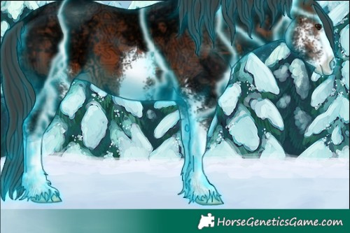 Horse Color:Thunderstruck Bay Ice Sabino 