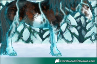 Horse Color:Thunderstruck Bay Ice Sabino