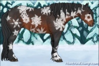 Horse Color:Brown Ice Sabino 