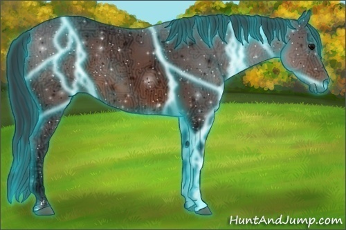 Horse Color:Thunderstruck Brown Ice Sabino 