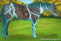 Horse Color:Thunderstruck Brown Ice Sabino 