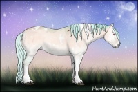 Horse Color:Watercolor White Spotted Silver Bay Chinchilla Onyx Tobiano