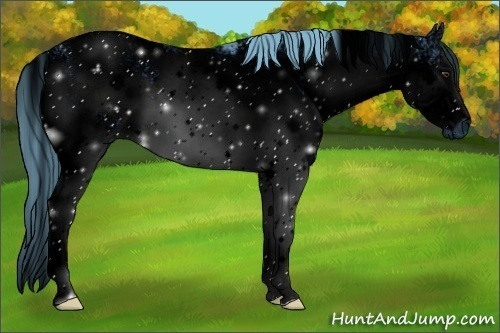 Horse Color:ERROR: UNKNOWN ANOMALY