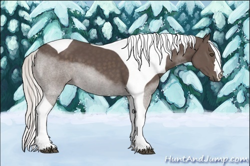 Horse Color:Silver Black Tobiano